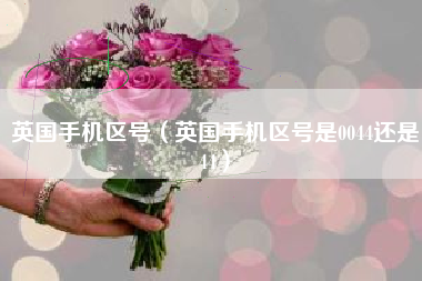 英国手机区号（英国手机区号是0044还是44）
