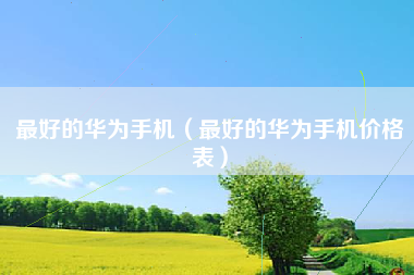 最好的华为手机（最好的华为手机价格表）
