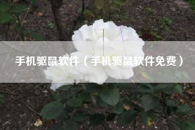 手机驱鼠软件（手机驱鼠软件免费）
