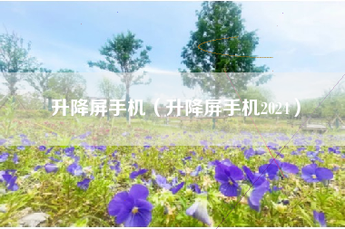 升降屏手机（升降屏手机2024）