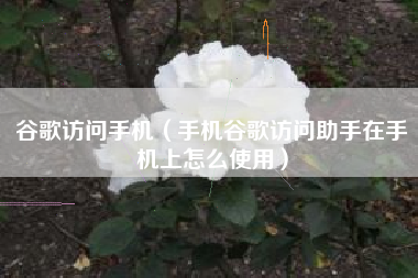 谷歌访问手机（手机谷歌访问助手在手机上怎么使用）