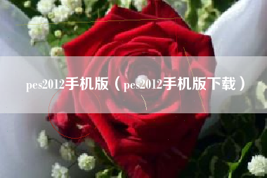 pes2012手机版（pes2012手机版下载）