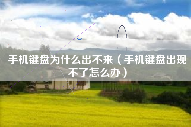 手机键盘为什么出不来（手机键盘出现不了怎么办）