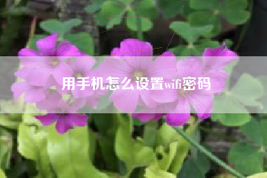 用手机怎么设置wifi密码