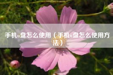 手机u盘怎么使用（手机u盘怎么使用方法）