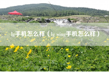 lg手机怎么样（lg wing手机怎么样）