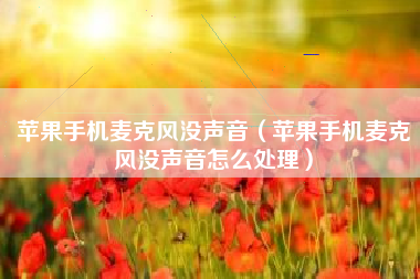 苹果手机麦克风没声音（苹果手机麦克风没声音怎么处理）
