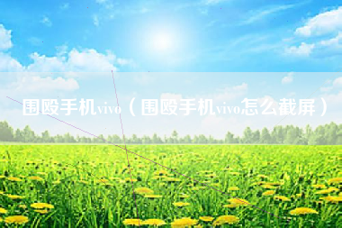 围殴手机vivo（围殴手机vivo怎么截屏）