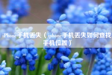 iPhone手机丢失（iphone手机丢失如何查找手机位置）