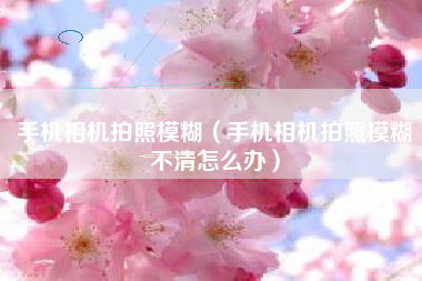 手机相机拍照模糊（手机相机拍照模糊不清怎么办）
