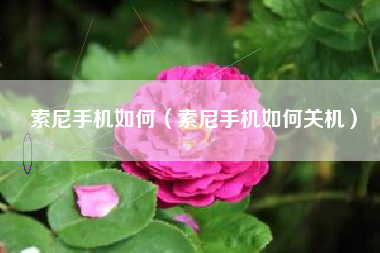 索尼手机如何（索尼手机如何关机）