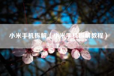 小米手机拆解（小米手机拆解教程）