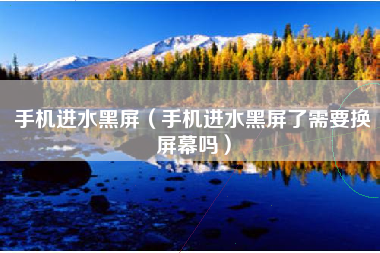 手机进水黑屏（手机进水黑屏了需要换屏幕吗）