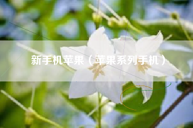 新手机苹果（苹果系列手机）