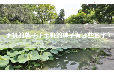 手机的牌子（手机的牌子有哪些名字）