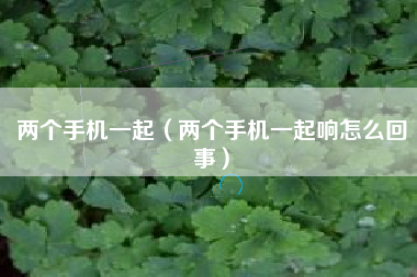 两个手机一起（两个手机一起响怎么回事）
