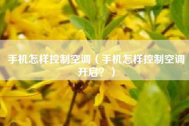 手机怎样控制空调（手机怎样控制空调开启？）