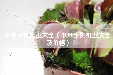 小米手机机型大全（小米手机机型大全及价格）