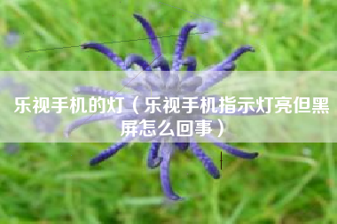 乐视手机的灯（乐视手机指示灯亮但黑屏怎么回事）
