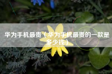 华为手机最贵（华为手机最贵的一款是多少钱）