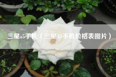 三星a5手机（三星A5手机价格表图片）