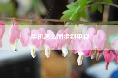 手机怎么同步到电视