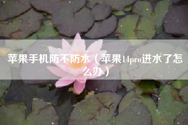 苹果手机防不防水（苹果14pro进水了怎么办）