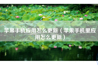苹果手机应用怎么更新（苹果手机里应用怎么更新）