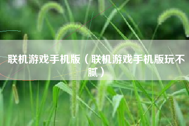 联机游戏手机版（联机游戏手机版玩不腻）