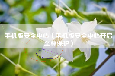 手机版安全中心（手机版安全中心开启至尊保护）