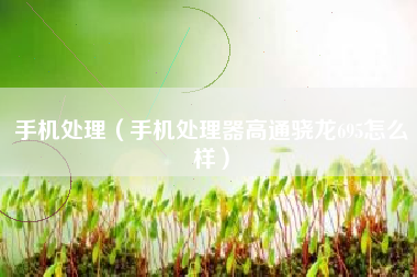 手机处理（手机处理器高通骁龙695怎么样）