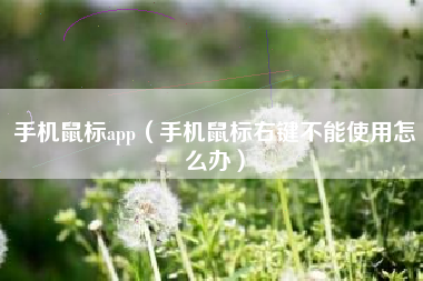 手机鼠标app（手机鼠标右键不能使用怎么办）