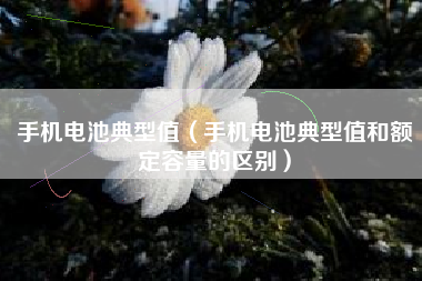 手机电池典型值（手机电池典型值和额定容量的区别）