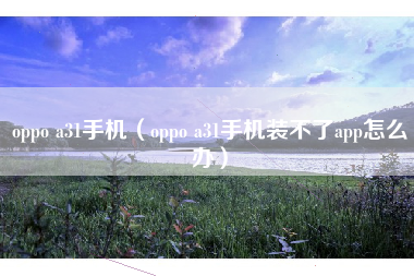 oppo a31手机（oppo a31手机装不了app怎么办）