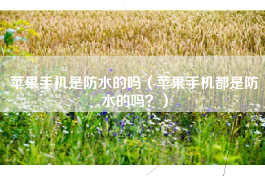 苹果手机是防水的吗（苹果手机都是防水的吗？）