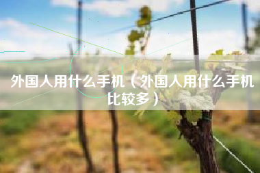 外国人用什么手机（外国人用什么手机比较多）