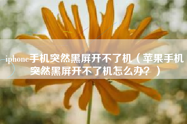 iphone手机突然黑屏开不了机（苹果手机突然黑屏开不了机怎么办？）