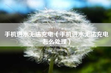手机进水无法充电（手机进水无法充电怎么处理）