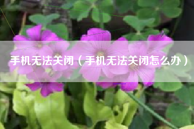 手机无法关闭（手机无法关闭怎么办）