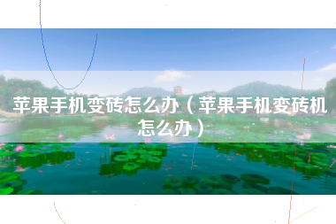 苹果手机变砖怎么办（苹果手机变砖机怎么办）