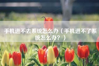手机进不去系统怎么办（手机进不了系统怎么办？）
