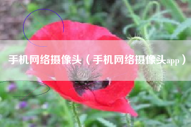 手机网络摄像头（手机网络摄像头app）