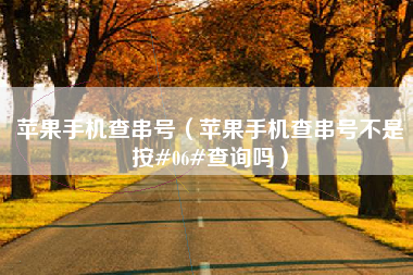 苹果手机查串号（苹果手机查串号不是按#06#查询吗）