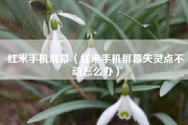 红米手机屏幕（红米手机屏幕失灵点不动怎么办）