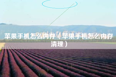 苹果手机怎么内存（苹果手机怎么内存清理）