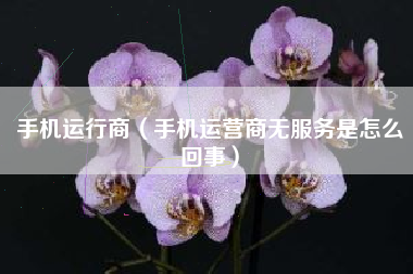 手机运行商（手机运营商无服务是怎么回事）