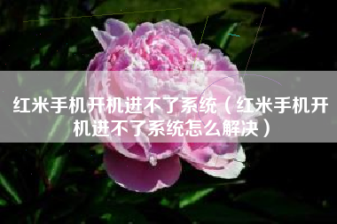 红米手机开机进不了系统（红米手机开机进不了系统怎么解决）