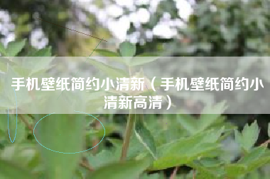 手机壁纸简约小清新（手机壁纸简约小清新高清）