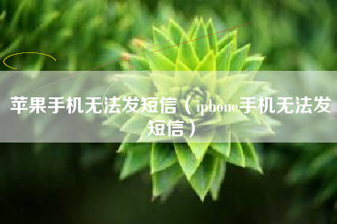 苹果手机无法发短信（iphone手机无法发短信）