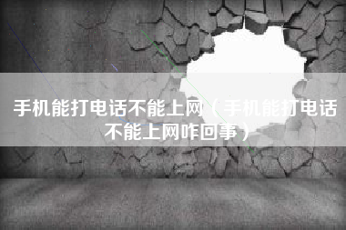 手机能打电话不能上网（手机能打电话不能上网咋回事）